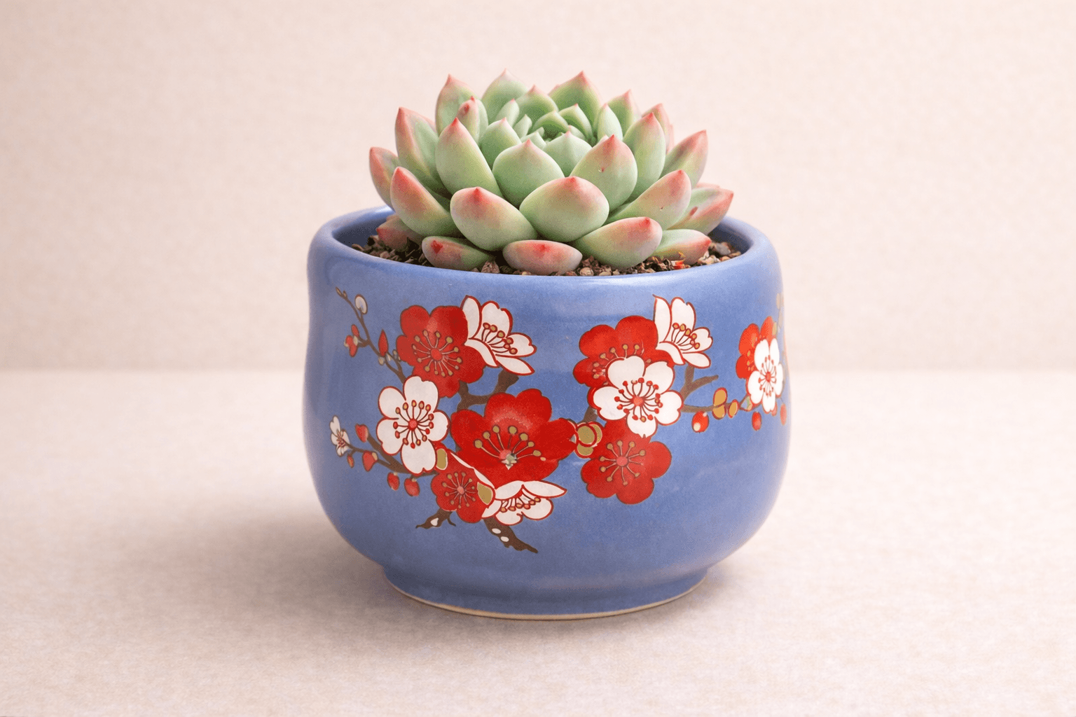 Maceta Arena 9 cm vista 1